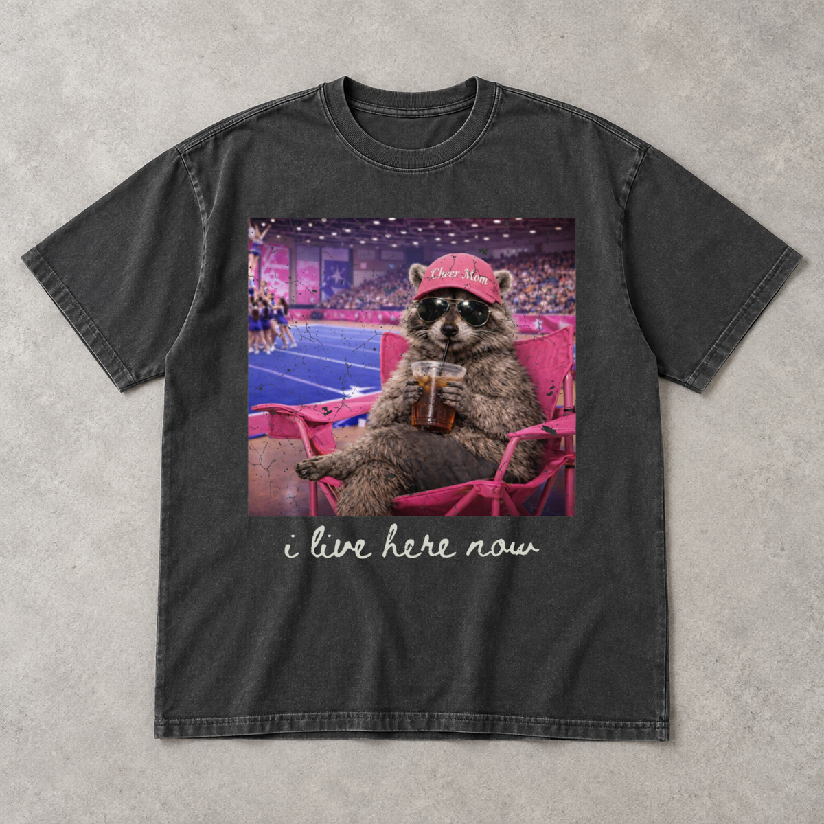 🎀🦝I Live Here Now 🦝🎀