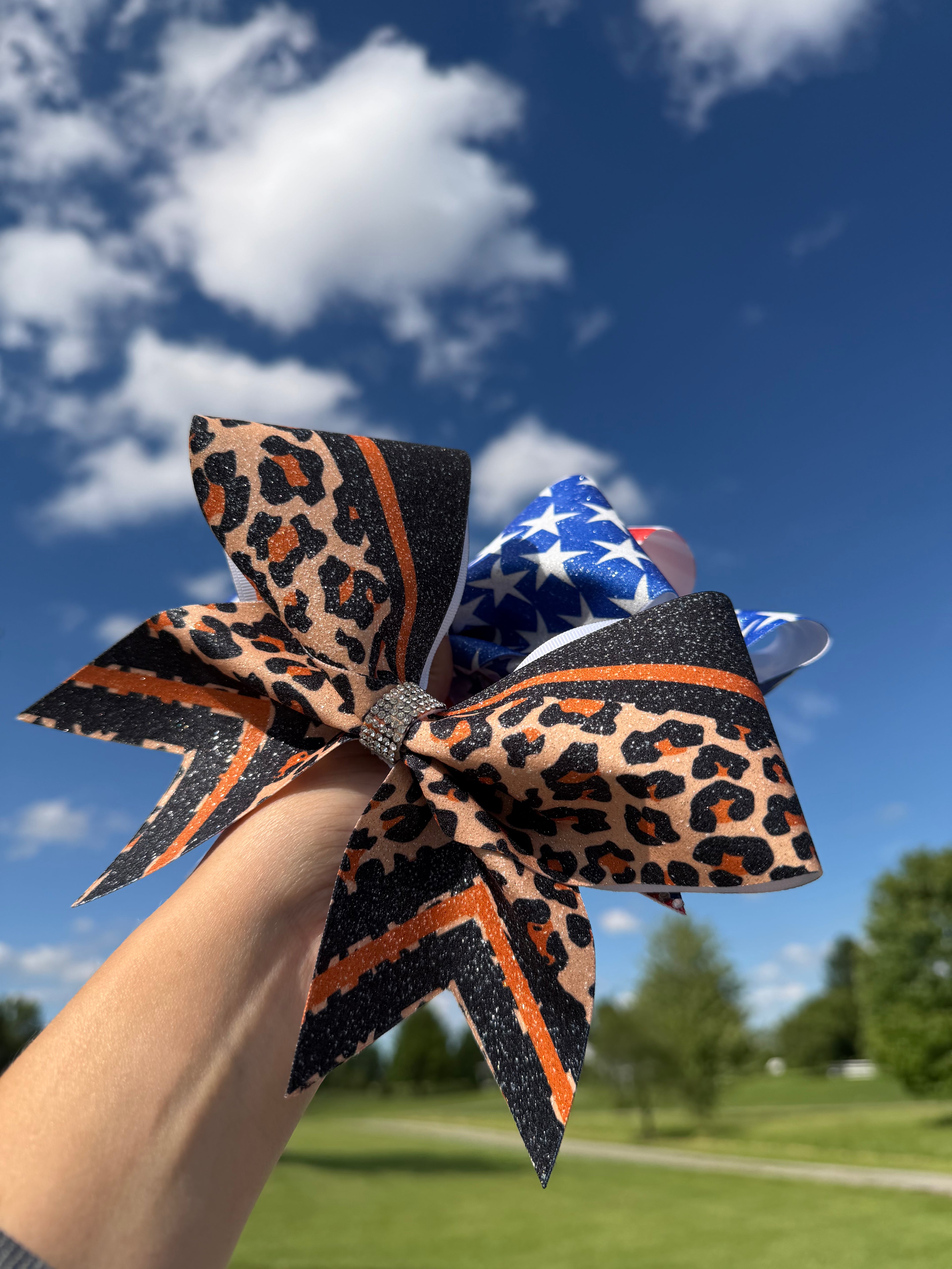 Cheetah Bow 🐆